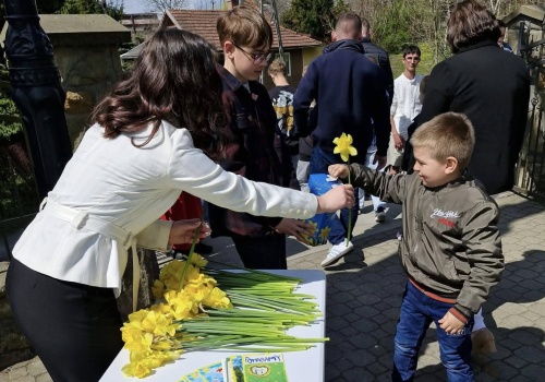 Żonkile i wielkie serca Sądeczan. Tyle udało się zebrać w akcji Pola Nadziei