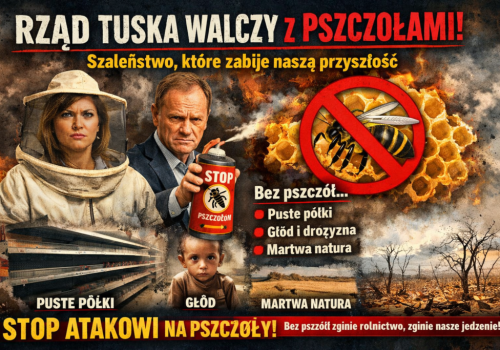 Rząd Tuska idzie na wojnę z pszczołami!