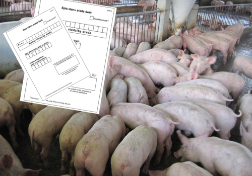 Nie zgłosisz gospodarstwa, nie sprzedasz zwierząt. Termin mija w czerwcu