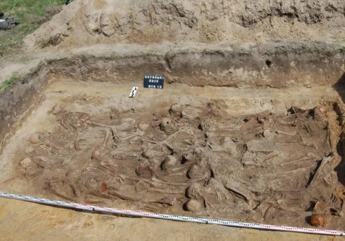 W poszukiwaniu szczątków 350 ofiar ludobójstwa wołyńskiego