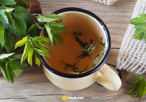 Zapomniana roślina o cennych właściwościach. Na co pomaga podagrycznik pospolity?