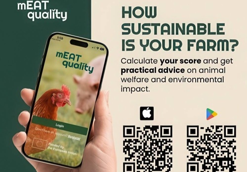 Praktyczne narzędzie wspierające bardziej zrównoważoną hodowlę zwierząt - mEATquality Sustainability