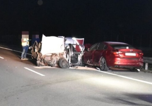 Drogowy bandyta, który zabił ludzi na S19, miał dwa promile