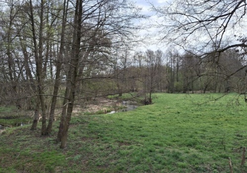 Za oknami mży, ale dane są bezlitosne. Susza uderza w Polskę