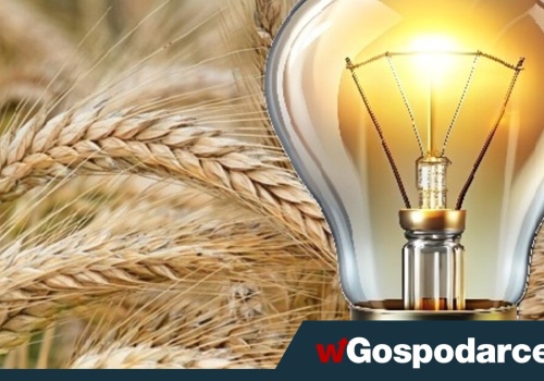 Magazyny zboża pełne. A może użyć go do produkcji energii?