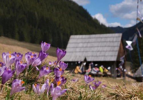 W Tatrach zawrzało. Turyści ruszyli masowo w jedno miejsce