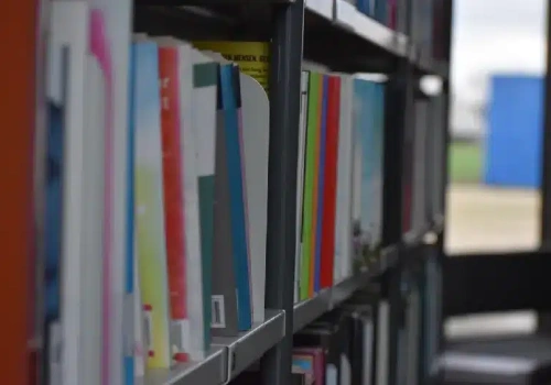 Zakazane w więzieniach ale dostępne dla dzieci w bibliotece szkolnej