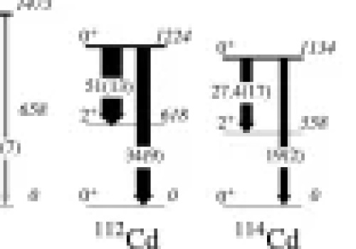 Deformacja j ą d r a kadmu w stanie podstawowym i wzbudzonym