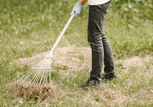 Zostawisz to na trawniku? W maju zobaczysz skutki – trawa się udusi