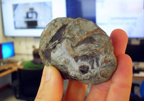 Te jaja mają 250 milionów lat. Badania ujawniły, jaką formę życia skrywają