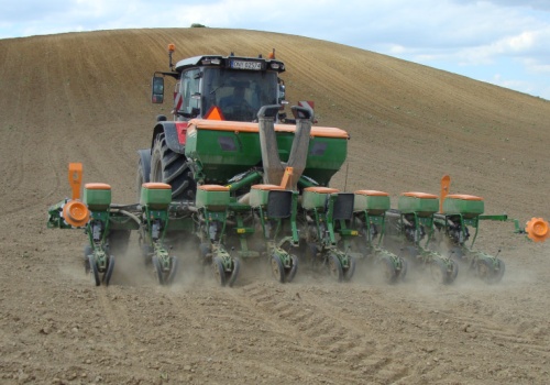 Zakup nawozów pod kukurydzę w ostatniej chwili – jak nie popełnić błędu?