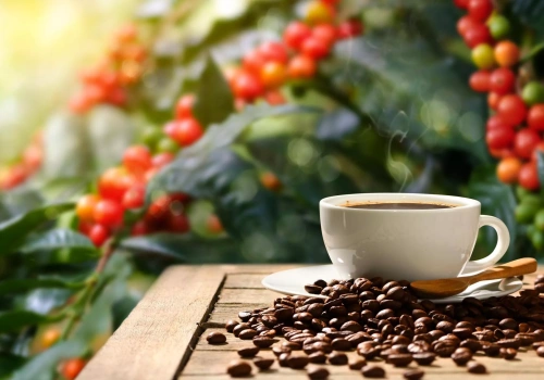 Gorzki posmak zmian klimatu. Przyszłość kawy pod znakiem zapytania