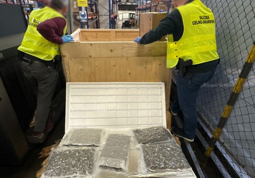 Były ukryte w panelach ledowych. Służby udaremniły ogromny przemyt