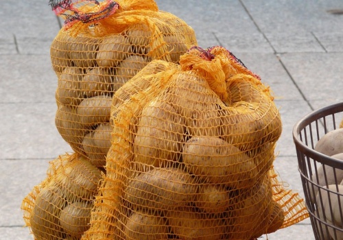 Akcja w Krakowie: ziemniaki za darmo dla mieszkańców. Do 10 kg na osobę