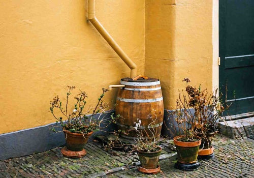 Dotacje na deszczówkę 2026. Jak odebrać 8000 zł z programu Mikroretencja?