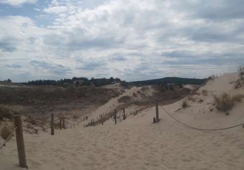 Rady gmin zdecydują o rezerwatach przyrody? PSL i Polska 2050 złożyły kontrowersyjny projekt nowelizacji