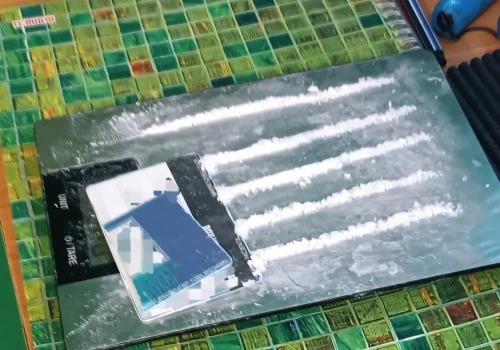 Narkotyki w mieszkaniach i garażu. Katowiccy policjanci zatrzymali mieszkańców Piekar Śląskich