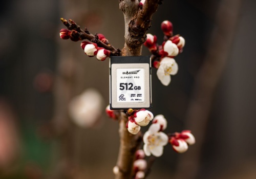 Najmniejszy element, największe ryzyko. Jan Ulicki o kartach pamięci Exascend