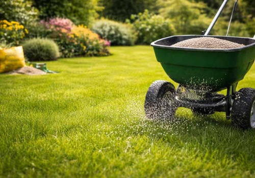 1 składnik, którego potrzebuje trawa, a którego ciągle jej żałujesz