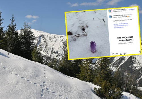 Zima nie odpuszcza. W Tatrach znów spadł śnieg