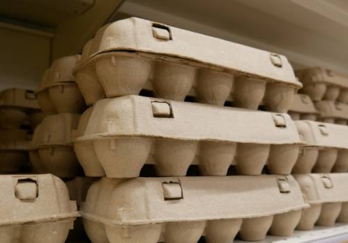 Ukraina bije rekord eksportu jaj. Polska wśród kluczowych odbiorców