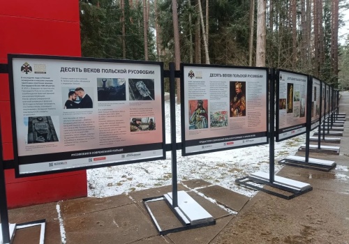 Jak Kreml w tropieniu rusofobii wyszedł na samego siebie