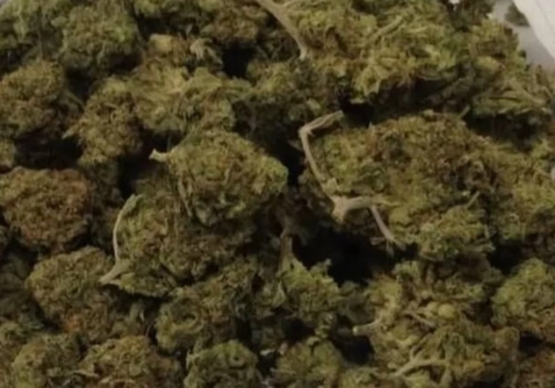 Podejrzenie jazdy pod wpływem narkotyków. W mieszkaniu miał ich znaczne ilości