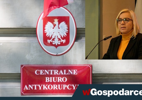 CBA wkracza do resortu klimatu. Skandal, 700 postępowań w ramach 