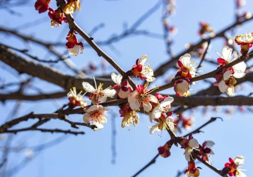 Przymrozki uderzą w Warmię i Mazury. IMGW wydał ostrzeżenie dla całego regionu