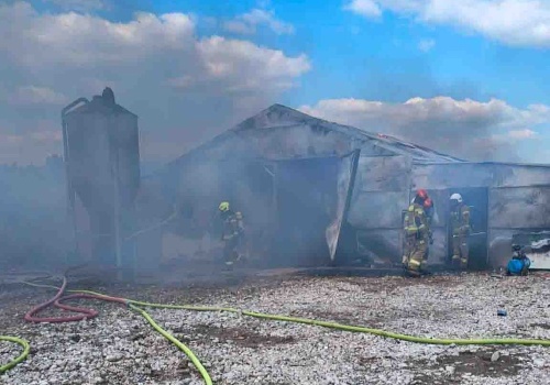 Lipinki. Duży pożar kurnika, strażacy bronili zbiornika z gazem (ZDJĘCIA)