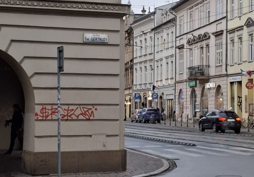 Wandale zdewastowali elewacje w centrum miasta. Kilkanaście zabytków uszkodzonych  (Galeria)