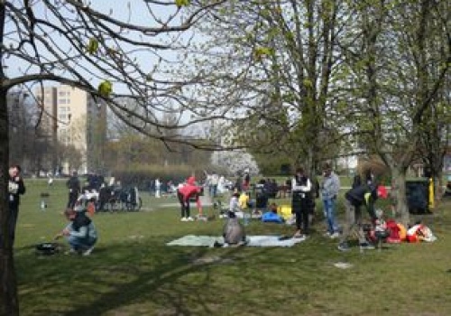 Zasady grillowania. Oto jak nie dostać 5 tys. zł kary