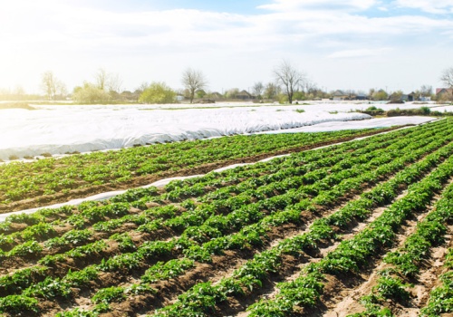 Wyższe limity i nowe terminy. Zmiany w Funduszu Ochrony Rolnictwa