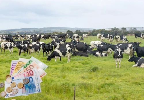 Rolnicy dokładają do mleka. Pokrywają tylko 75% kosztów