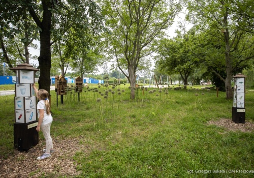 Baranówka jeszcze piękniejsza! Rusza kolejny etap tworzenia nowej strefy relaksu