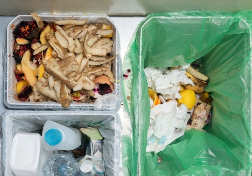 6 sposobów na czystsze środowisko. Matka Natura ci podziękuje