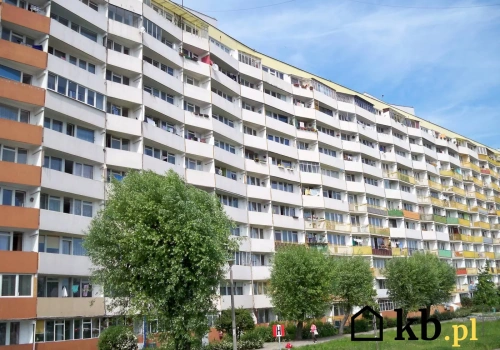 Seniorzy chcą windy, sąsiedzi mówią „nie”. Spór w bloku narasta