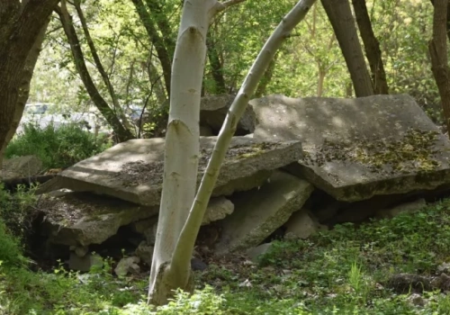 Zamiast betonowych płyt tętniący życiem park. Tak zmienia się teraz Gądów