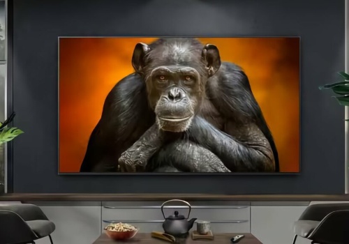 LG OLED 55. Jakość premium w świetnej cenie!