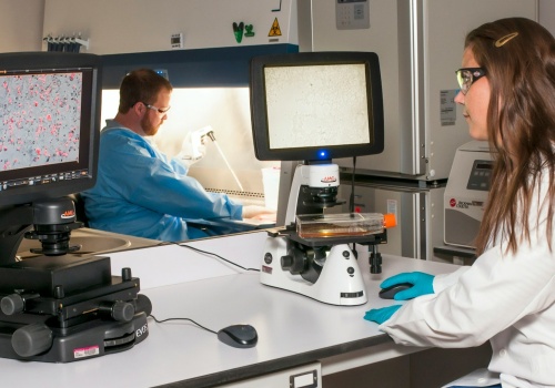 Przełom w diagnostyce białaczki. Nowy biomarker zmienia zasady gry