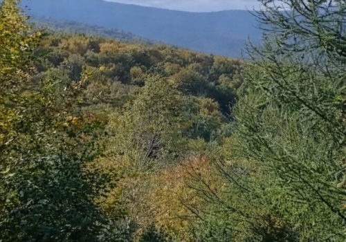 Pamięć zaklęta w górach