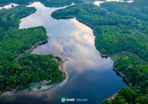 To, co dzieje się w Amazonii, nie zostanie w Amazonii. Konsekwencje odczuje cały świat