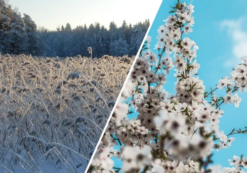 Drastyczna zmiana pogody. W Polsce może sypnąć śniegiem