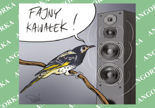 Odtwarzanie śpiewu zamiast natury. Naukowcy ratują rzadkiego ptaka