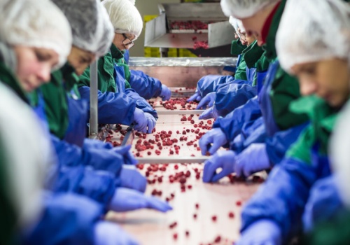 Masowy wyjazd Ukraińców po wojnie mógłby uderzyć w polską gospodarkę