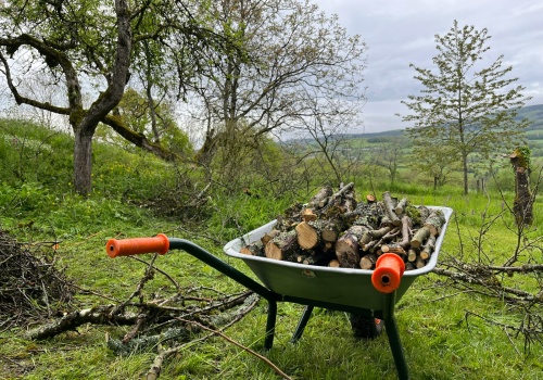 Wiosna 2026: Palenie gałęzi w ogrodzie zakazane. Mandat nawet 5000 zł