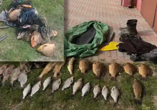 Pijany pasażer i sieci w plecaku. Podwójna wpadka kłusowników