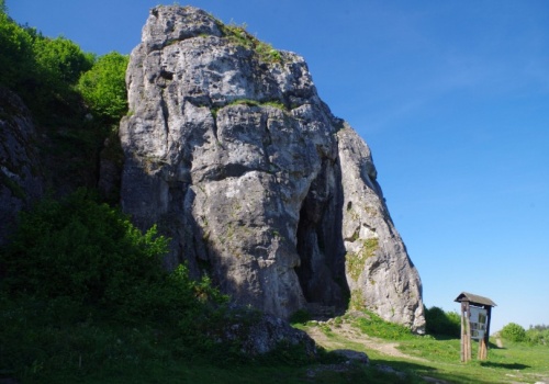 Neandertalczycy z Jaskini Stajnia. Udało się zdobyć mDNA wielu mieszkających tam osób