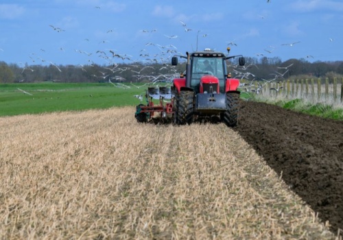 Wypadek w rolnictwie? Ten termin decyduje o odszkodowaniu
