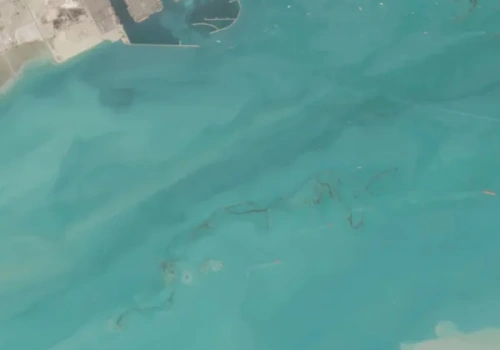 Katastrofa widoczna z kosmosu. Eksperci biją na alarm